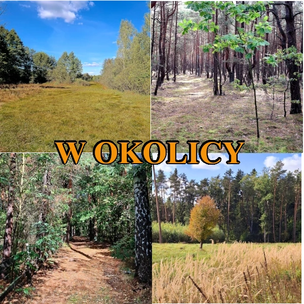 okolica_basinow_baner1