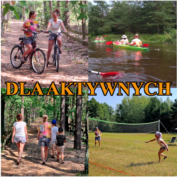basinow_aktywnosc1